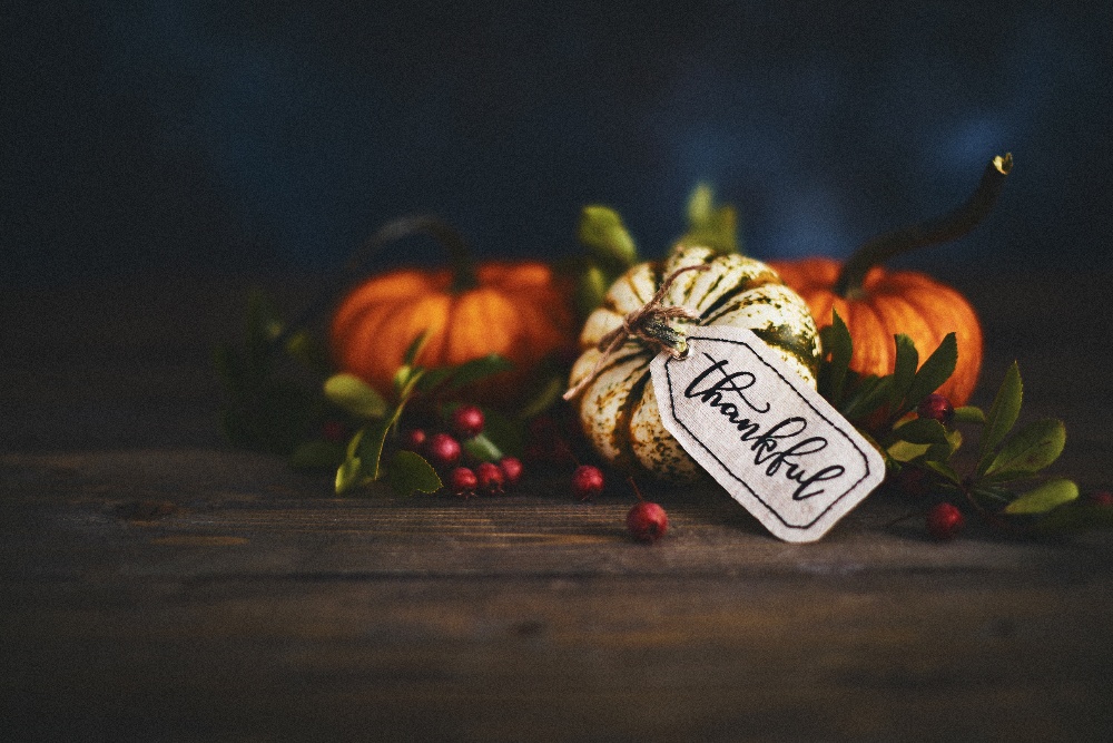 iStock-1060580654-1