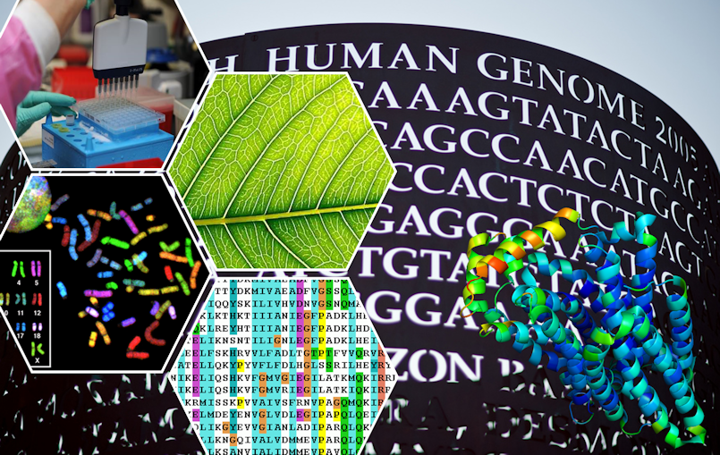 bioinformatics-1.png