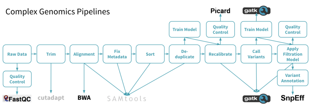 complex_genomic_pipeline3-1024x366