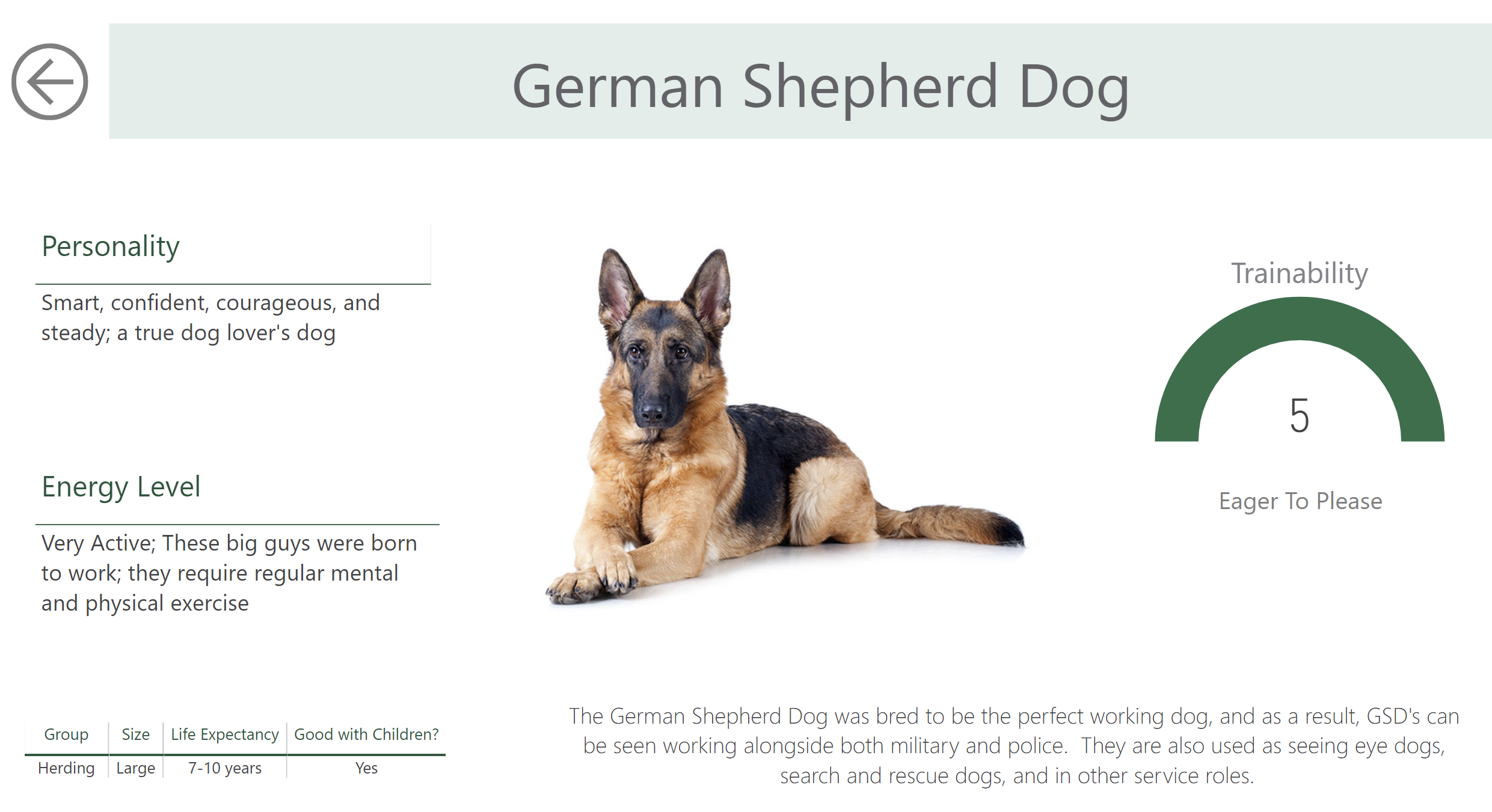 German Shepherd