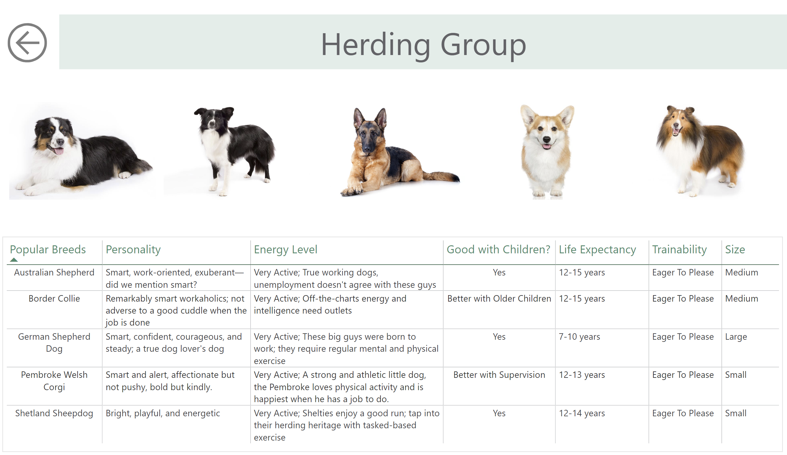 herding group