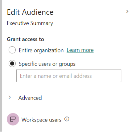 Power BI Audience