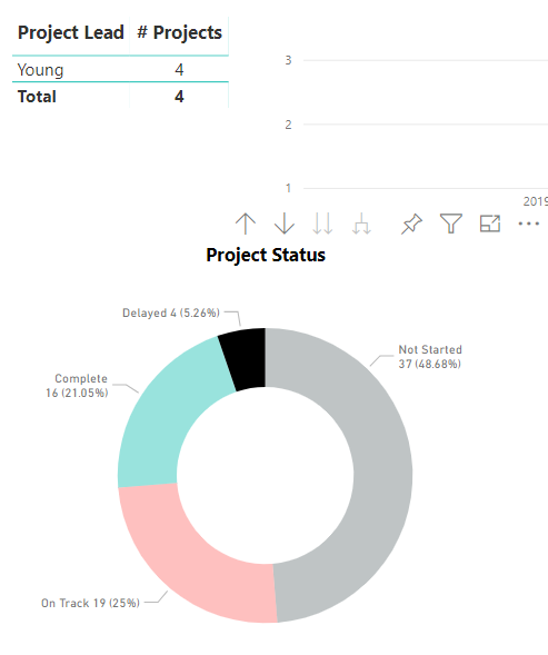 Project Lead