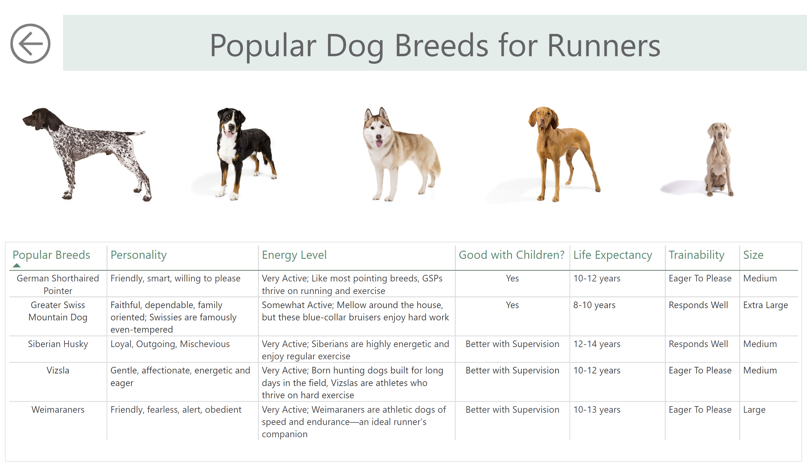 runners